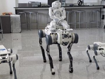 Robot Anjing