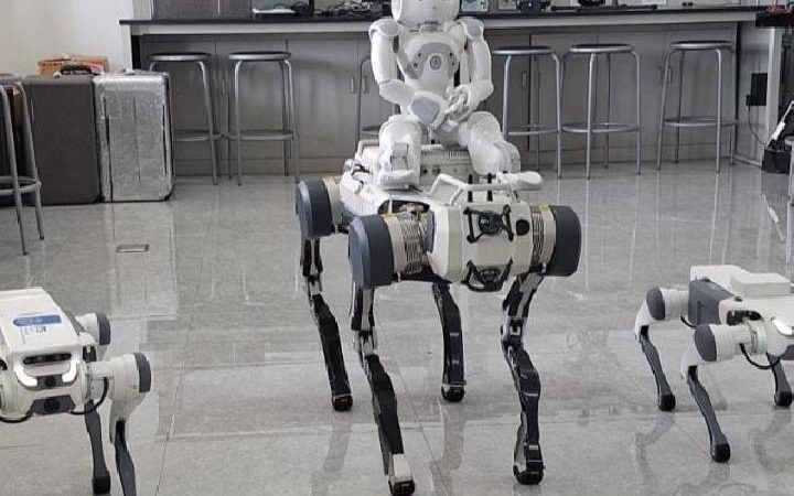 Robot Anjing X30 dan Lite3 Pro
