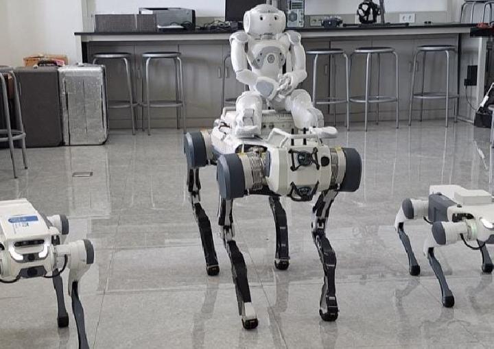 Robot Anjing X30 dan Lite3 Pro