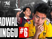 mpl id s16
