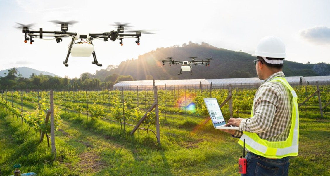 Revolusi Pertanian Lewat Teknologi Modern