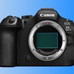 Canin Eos R6
