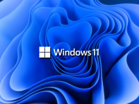 Windows 11