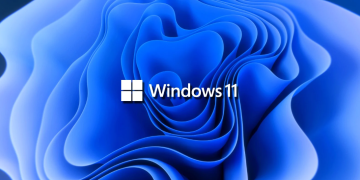 Windows 11